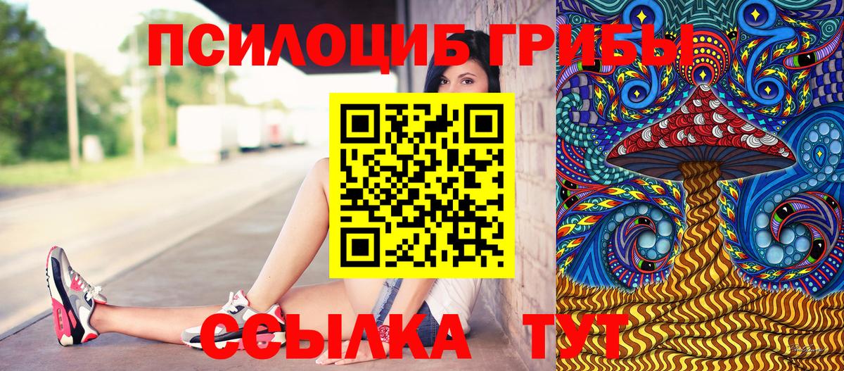 Галлюциногенные грибы MAGIC MUSHROOMS  Вход с VPN  Котовск 